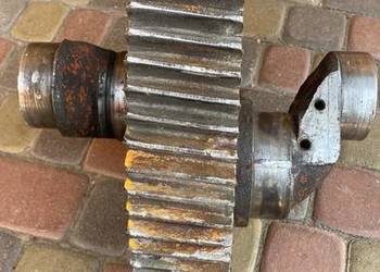 Wal korbowy pomp pluczkowyh NB32 NB50 11 GR