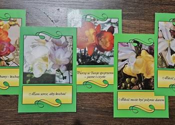Komplet 5 pocztówek tematycznych o miłości