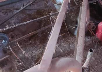 Pająk do siana przetrząsacz karuzelowy 2 wirnikowy