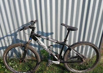 rower  mtb Wheeler Buddy 03