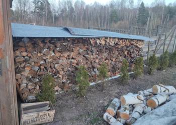 Drewno opałowe brzoza kominkowe suche