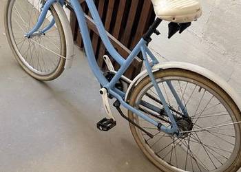 Rower miejski Miami Cossack