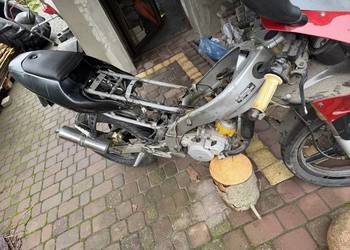 Peugeot XR6
