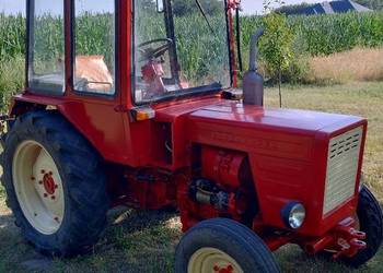 Sprzedam Władymirec t 25
