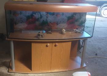 Akwarium z szafką 300 l i akcesoria