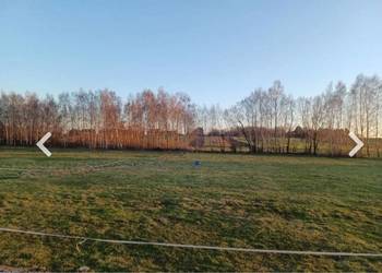 Działka budowlana przy asfalcie ,własny drzewostan.