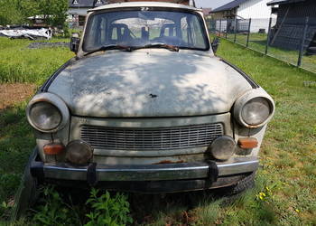 Trabant 601 zarejestrowany