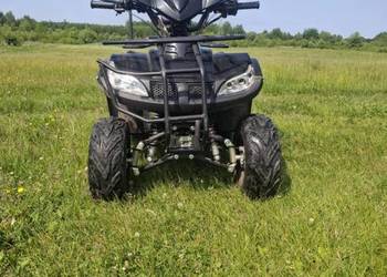 Quad bashan 125