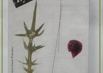 Żywot Przybyszewskiego - H. Rogacki/ biografia/ literatura