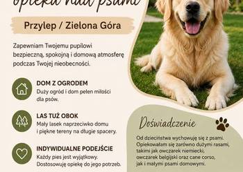 Domowa opieka nad psami – Przylep (Zielona Góra)