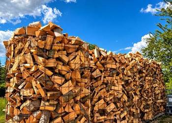 Tanie Drewno opałowe kominkowe Września i okolice