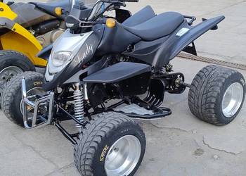 Shineray 250 Bashan Asix Goes Linhai Kayo Tgb Access Aeon Dinli BRP Quad