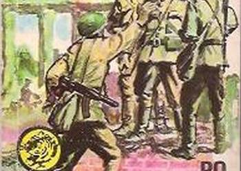 ŻÓŁTY TYGRYS - PO OSTATNIM SZTURMIE - PAWŁOWSKI E.