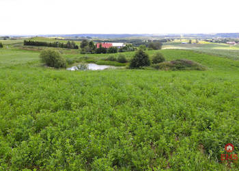 Oferta sprzedaży gruntu 4800m2 Olszanka