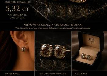 DH Diamonds Naturalna para diamentów Salt & Pepper • 5,32 ct