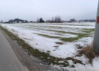 Działka rolno-budowlana Borki-Kosiorki