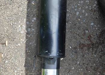 NAP TYP 15 036276 TŁUMNIE SPORTOWY