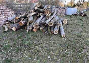 Drewno opałowe topola i olcha