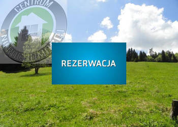 Działka 8400m2 Ochotnica Dolna