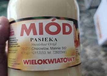 Sprzedam miód