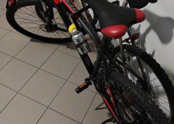 Rower Kross hexagon 6