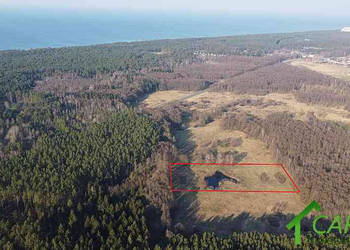 Grunt 10000m2 Łukęcin