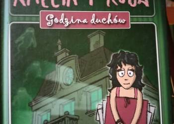 Kuba i Amelia seria książek dziecięcych dzień dziecka unikat Kuba i Amelia seria książek dziecięcych dzień dziecka unikat