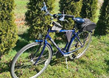 rower męski ketler alu rad