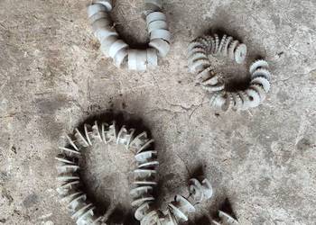 Rolki wysiewające siewnik poznaniak