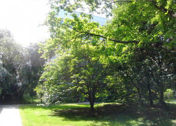 Mieszkanie Warszawa 47.4m2 3-pokojowe