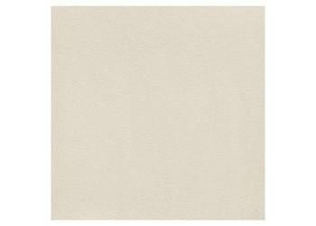 Gres Nowa Gala Zenith ZN01 60x60 cm struktura gatunek 1