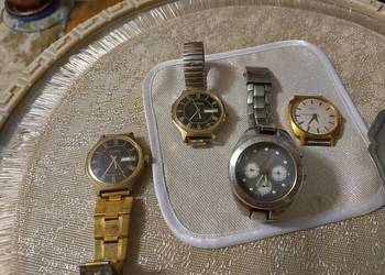 Sława łucz fossil Sława łucz fossil