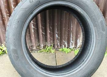 Opona Goodyear EfficientGrip 205/55R1616