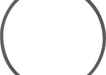 Uszczelka do komory pływakowej 698538