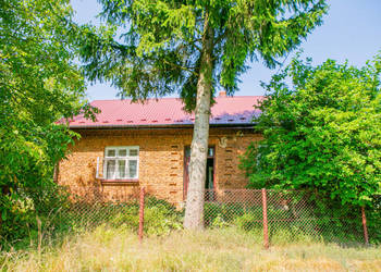 Na sprzedaż gospodarstwo w miejscowości Górka! Na sprzedaż gospodarstwo w miejscowości Górka!