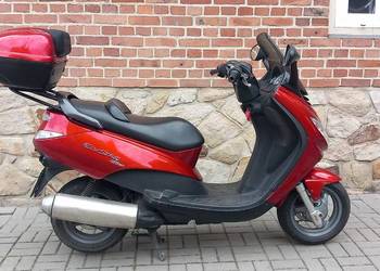 Peugeot Elystar 125 efi ABS