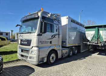 do przewozu zwierząt Gray&Adams GADD3 Gray Adams GADD3 - Do przewozu zwier…