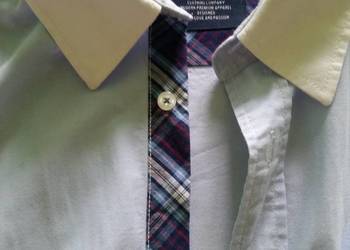 XL-XXL (43-44 kołnierzyk)- Tailor & Son , koszula męska, dam