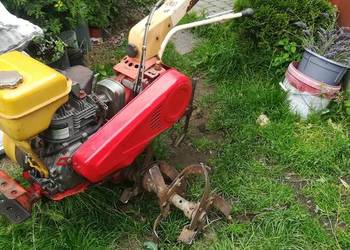 Glebogryzarka dzik firmy Honda