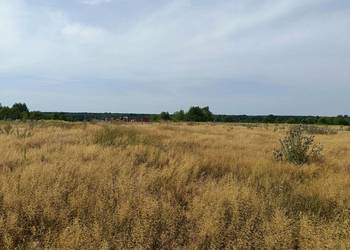 Działki budowlane 1130m2 Tąpkowice ul. Brynicka