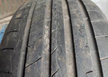 Opony dębica presto uhp2 225/55r17 101y