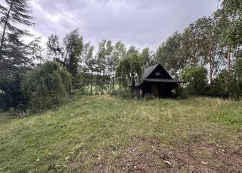 DZIAŁKA REKREACYJNA 5000 m² | SMOLEŃ-POLUBY | WŁASNY LAS | CISZA I PRYWATNO