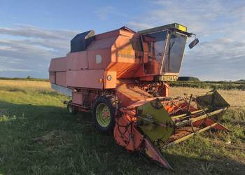 Dronningborg d1250
