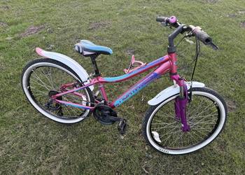 Rower Northtec jr240 koła 24``