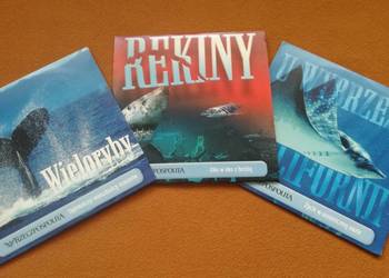 U wybrzeży Kalifornii, Rekiny, Wieloryby trzy płyty dvd, U wybrzeży Kalifornii, Rekiny, Wieloryby trzy płyty dvd,