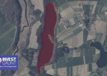 [43,00 ha] przetarg na dzierżawę jeziora