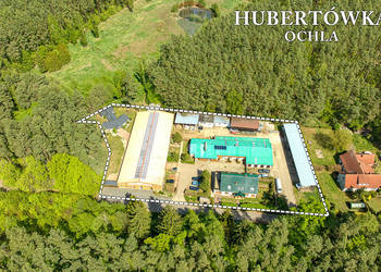 Doskonała okazja dla koniarzy i nie tylko!