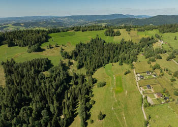Działka rolno-leśna Obidowa