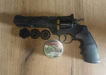 Wiatrówka vigilante