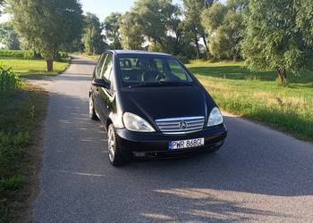 A210 Evolution zamiana